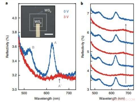 Tuning Exciton Resonances for Dynamic Focusing in an Atomically Thin WS₂ Lens