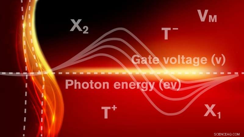 Revolutionizing Nanolaser Technology with 2‑D Semiconductors