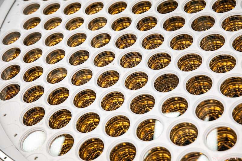 New Study Suggests Dark Matter May Be Hidden Within Existing Astronomical Data