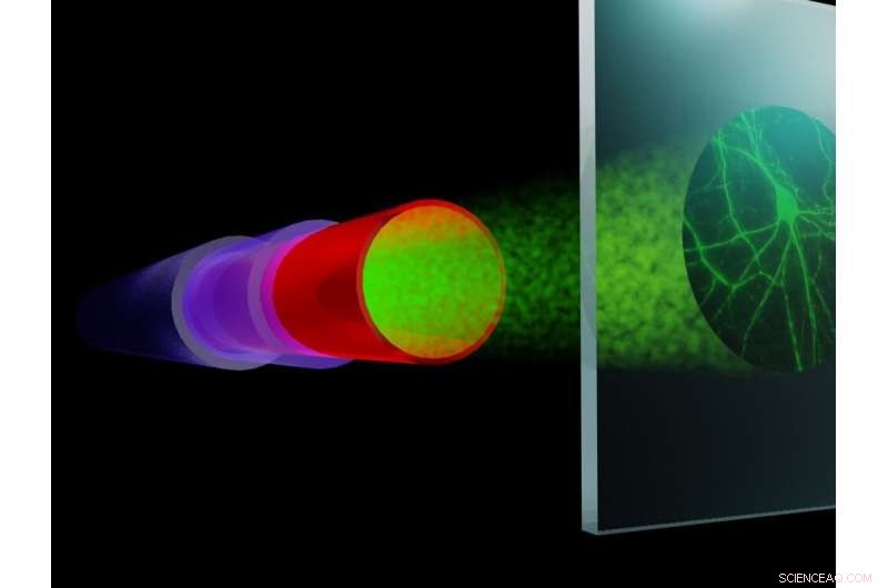 Revolutionizing Fiber Imaging: Unmatched Resolution & Speed Through Compressive Sensing