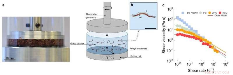 Sludge Worms: A Novel Model for Active Filament Viscosity Testing
