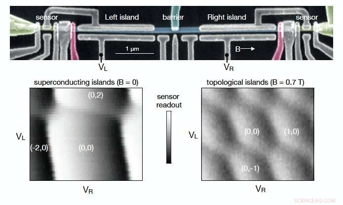 Photon‑Assisted Tunneling Observed in Majorana Wires – A Milestone for Quantum Tech