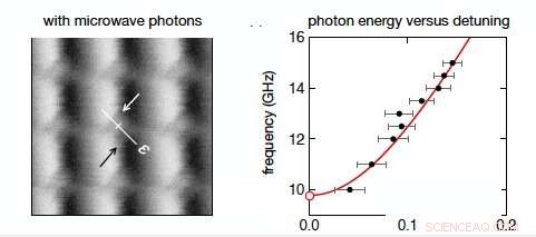 Photon‑Assisted Tunneling Observed in Majorana Wires – A Milestone for Quantum Tech
