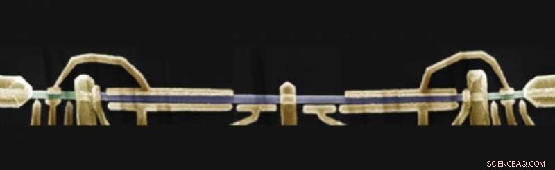 Photon‑Assisted Tunneling Observed in Majorana Wires – A Milestone for Quantum Tech