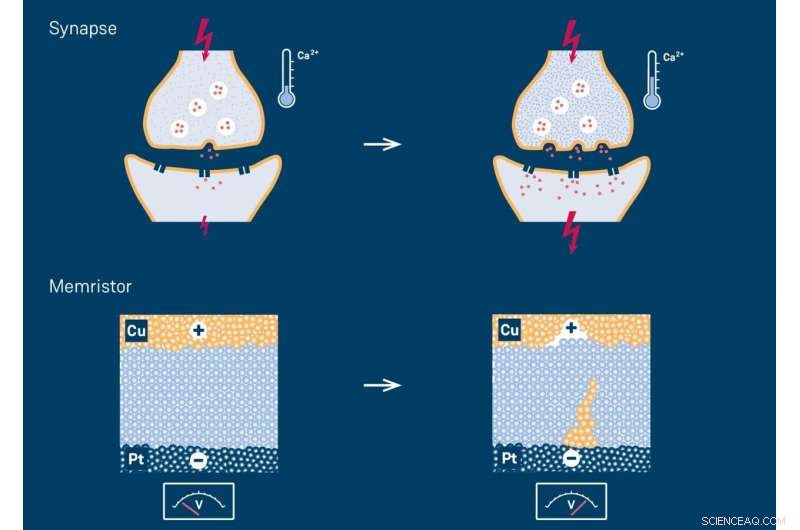 Researchers Unveil Breakthrough in Memristor Material Composition