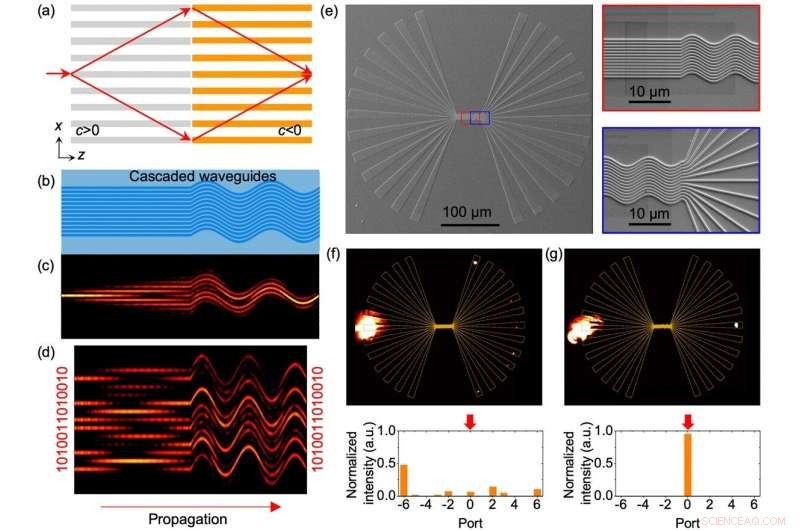Seamless Light Transport with Waveguide Arrays: Zero Distortion Imaging
