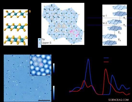 New Insights into the Conductor‑to‑Insulator Transition of a Novel Material