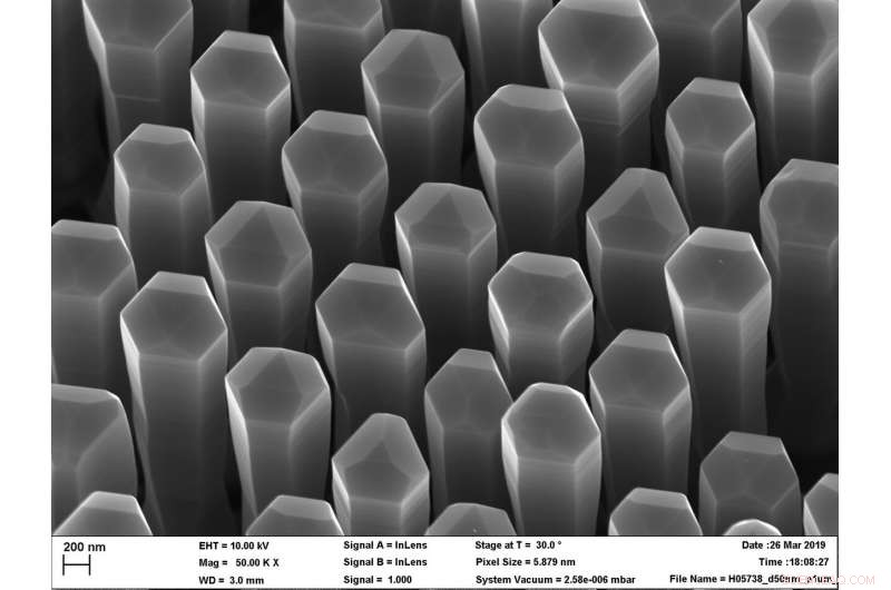Harnessing Light‑Emitting Silicon for Advanced Photonic Computing