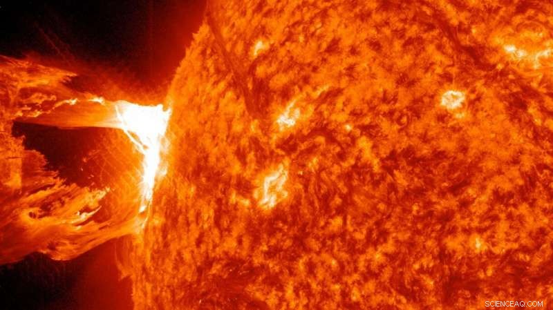 Topological Surface Waves Offer New Insights into Magnetized Plasma Dynamics