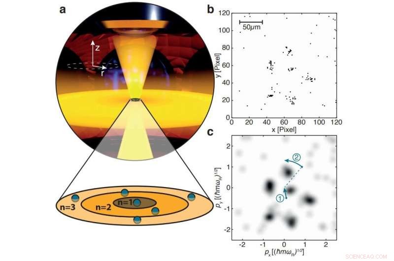 German Research Team Discovers Pauli Crystals for the First Time—Updated Findings