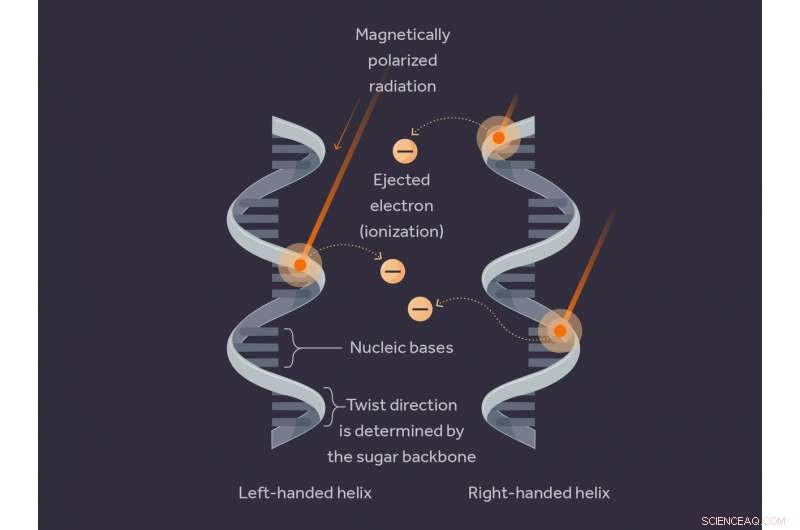 Cosmic Rays: Scientists Reveal Their Lasting Imprint on Early Life