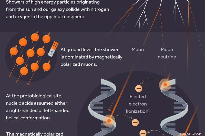 Cosmic Rays: Scientists Reveal Their Lasting Imprint on Early Life