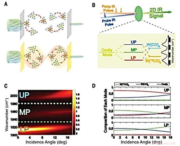 Harnessing Microcavity Strong Light‑Matter Coupling for Intermolecular Vibrational Energy Transfer