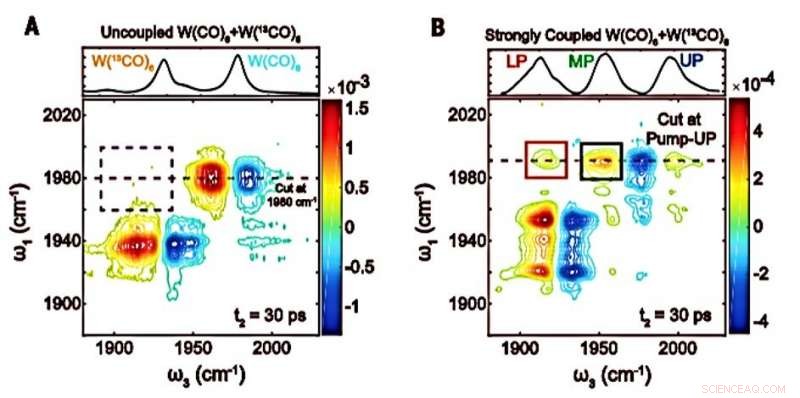 Harnessing Microcavity Strong Light‑Matter Coupling for Intermolecular Vibrational Energy Transfer