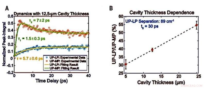 Harnessing Microcavity Strong Light‑Matter Coupling for Intermolecular Vibrational Energy Transfer