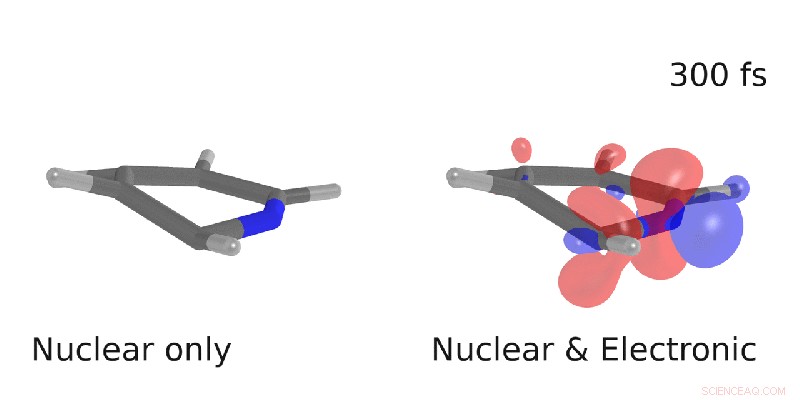 Revealing the Coordinated Dance of Electrons and Nuclei in Light-Excited Molecules