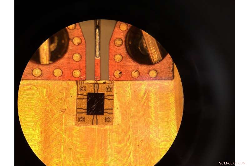 Scientists Achieve 100‑Fold Boost in Microwave Signal Stability