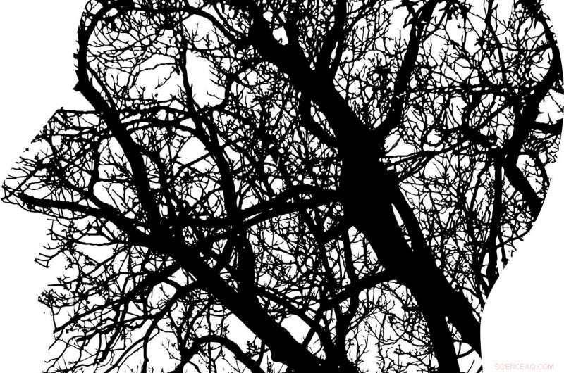 How Physics Illuminates the Mystery of Consciousness