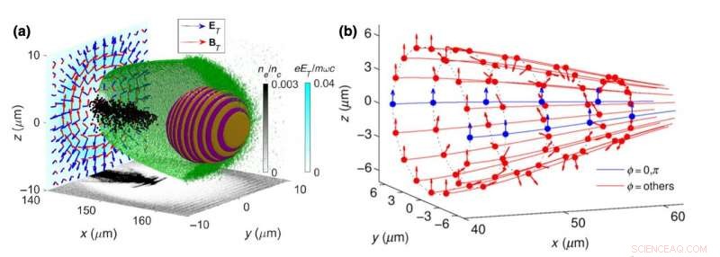 New Spin-Filter Technique Boosts Polarized Electron Acceleration in Plasma Wakefields
