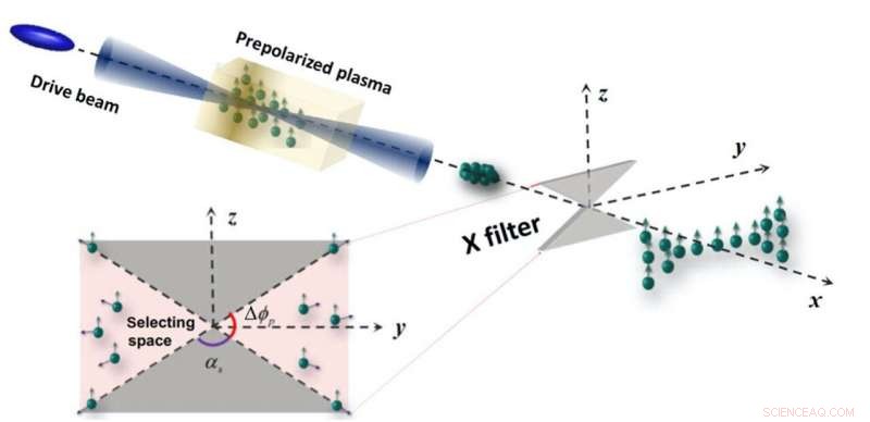 New Spin-Filter Technique Boosts Polarized Electron Acceleration in Plasma Wakefields