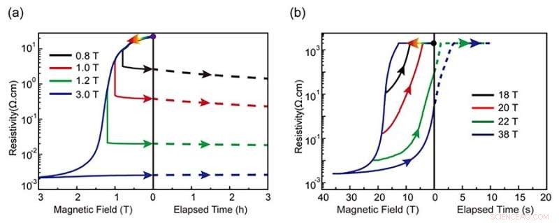 New Study Reveals Physical Roots of Electronic Phase Separation in Complex Oxides