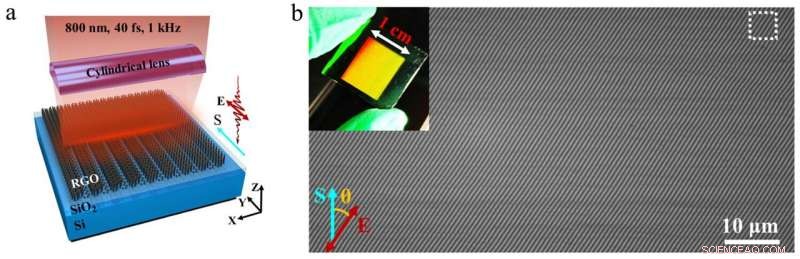 Rapid Femtosecond Laser Plasmonic Lithography for Graphene Oxide Films