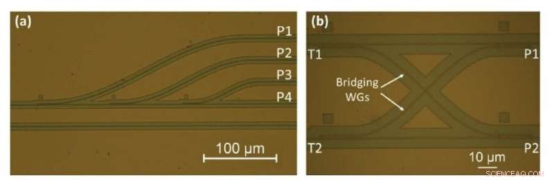 Revolutionizing Silicon Photonics: Configurable Circuits Enable Advanced Photonic Switching