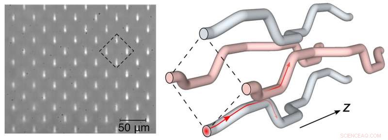 Self-Trapping Light in Intricately Fabricated Glass Structures