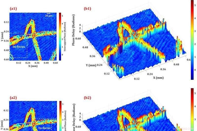 Digital Holography‑Based Multimodal Microscope for Real‑Time 3‑D Imaging of Living Cells