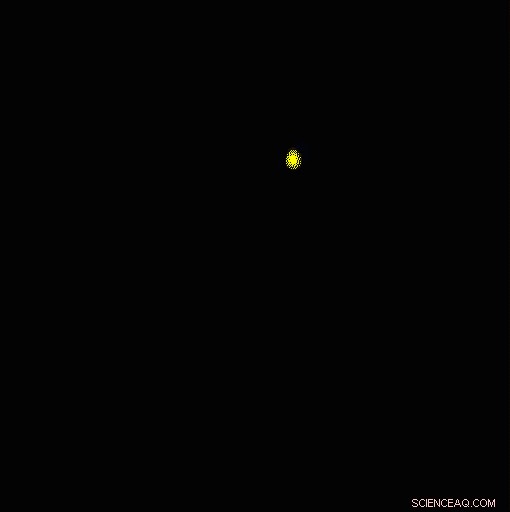 Digital Holography‑Based Multimodal Microscope for Real‑Time 3‑D Imaging of Living Cells