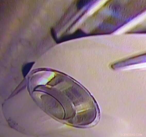 Revolutionizing Medicine: Oak Ridge Lab Unveils Enhanced Actinium-227 Separation Technique