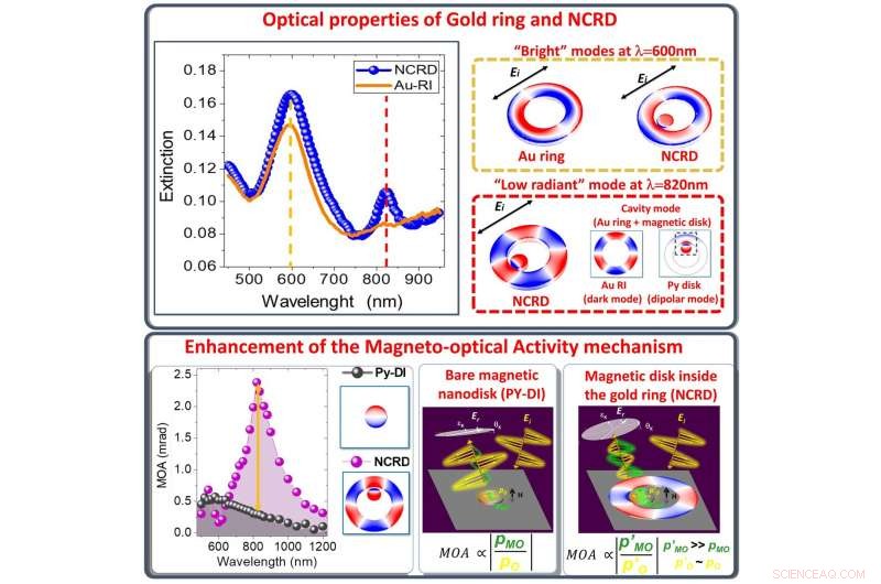 Harnessing Dark Plasmons to Control Light Polarization in Magnetoplasmonic Nanocavities