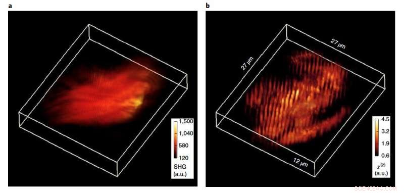 Revolutionary Technique Elevates 3-D Imaging to New Heights