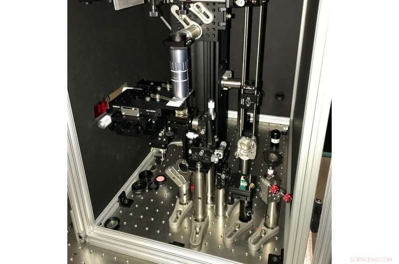 Revolutionary Technique Elevates 3-D Imaging to New Heights