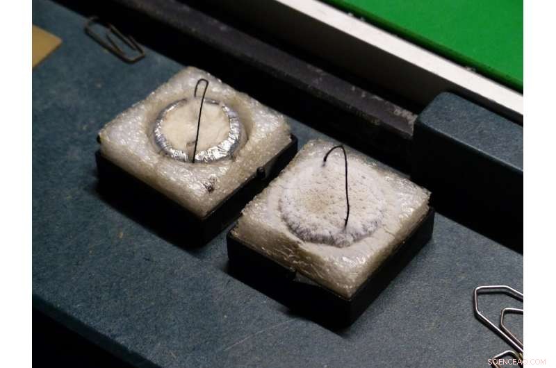 Physicists Seek Room‑Temperature Superconductors to Transform Global Energy