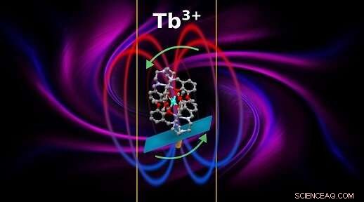 Unveiling Spin‑Lattice Relaxation Anisotropy in Molecular Magnets