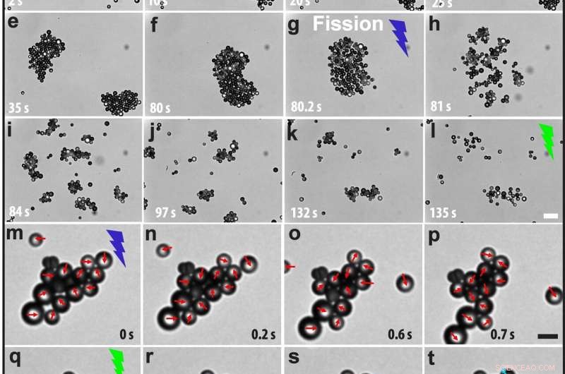 Light‑Responsive Active Particles: Switchable Propulsion Direction and Reversible Interactions