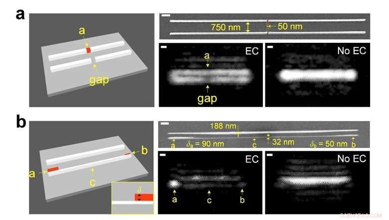Breakthrough Discovery Enhances Optical Microscopy Precision