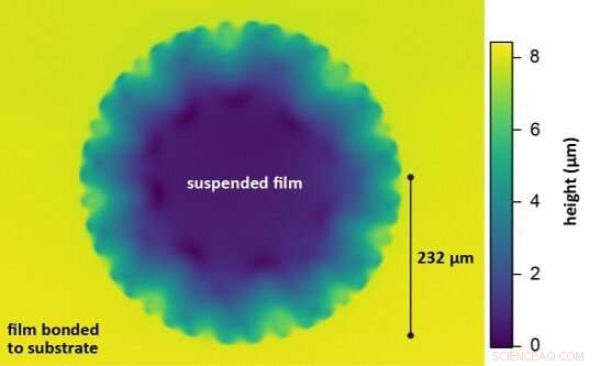 Scientists Decode the Physics Behind Wrinkling