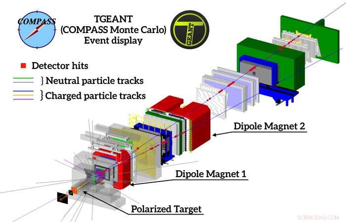 Unveiling the Proton: Insights from CERN s COMPASS Experiment