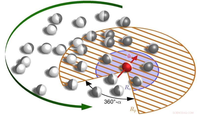 Physics Principles Reveal Order and Chaos in Swarm Behavior