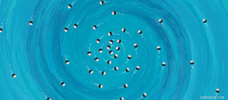 Physics Principles Reveal Order and Chaos in Swarm Behavior