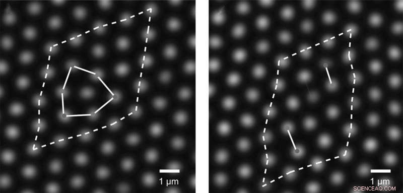 How Defects Shape Melting: New Insights into Two‑Dimensional Solids