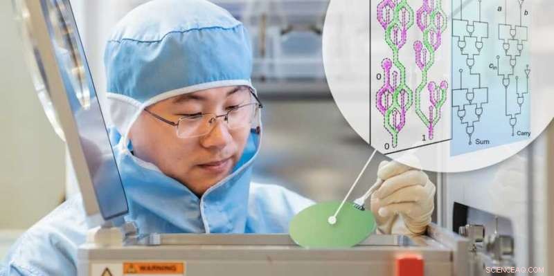 Revolutionizing Computing: Merging Racetrack Memory with On-Chip Logic