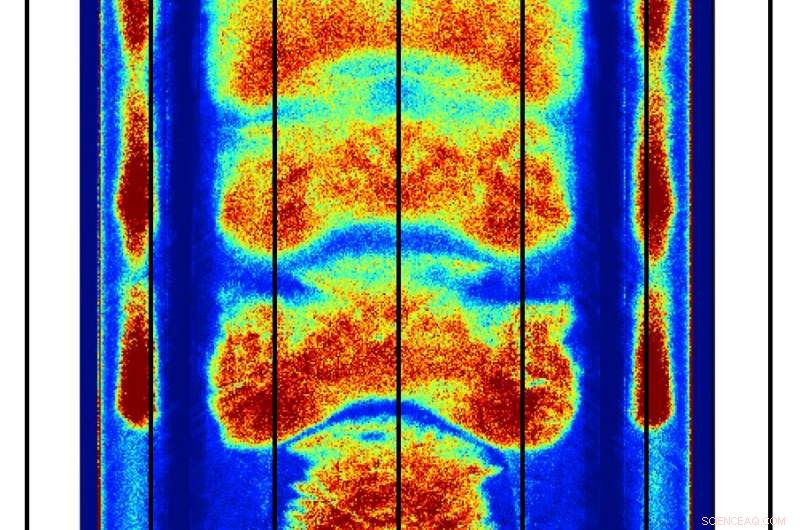 Unveiling the Brightness of Pulsars: A 50-Year Mystery Resolved