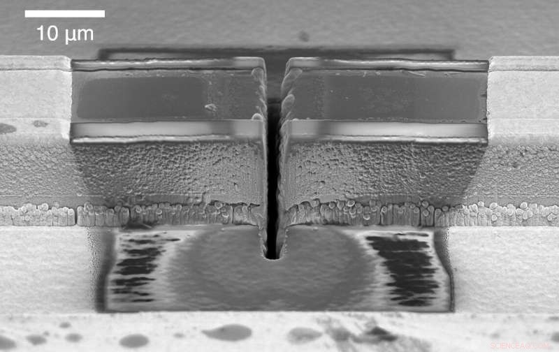 Harnessing Light Turbulence to Produce Precision Frequency Combs in Compact Ring Lasers