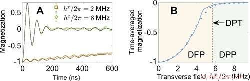 Scientists Achieve Quantum Simulation of Dynamical Phase Transitions
