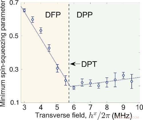 Scientists Achieve Quantum Simulation of Dynamical Phase Transitions