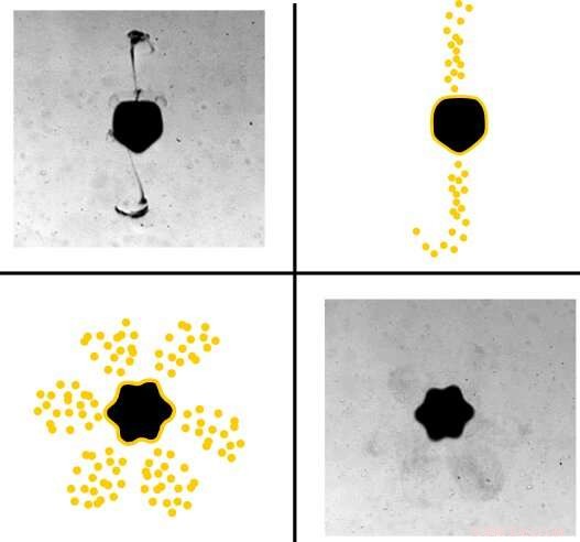 Acoustic Tweezers Direct Microbubble-Mediated Drug Release with High Localization