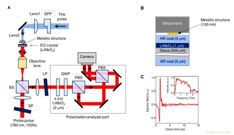 Harnessing Light s Orbital Angular Momentum to Excite Plasmons in Metamaterials